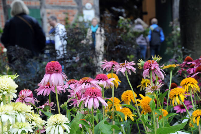 Impressionen vom Pflanzenmarkt im Sommer im Freilichtmuseum am Kiekeberg in Rosengarten